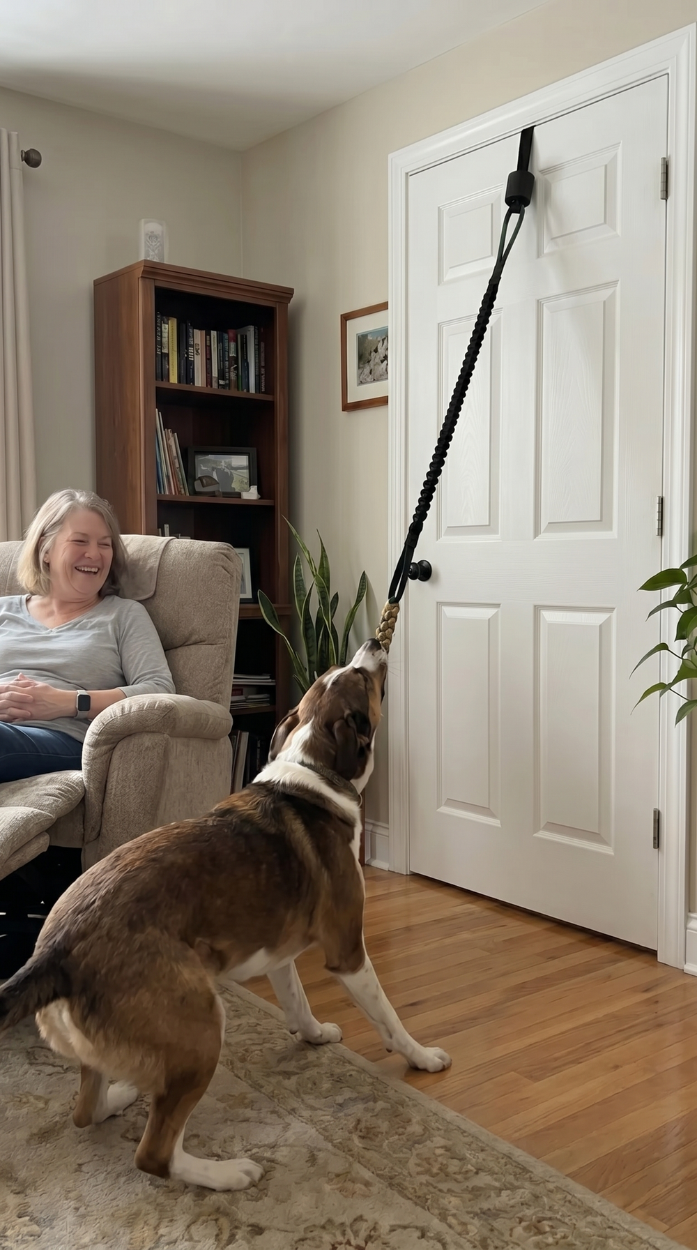 Impulse anchored and in use with a high-drive dog