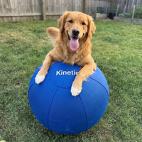 Kinetic Drive Ball