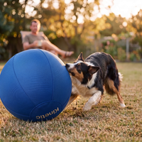 Kinetic Drive Ball