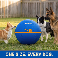 Kinetic Drive Ball