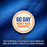 Kinetic Drive Ball