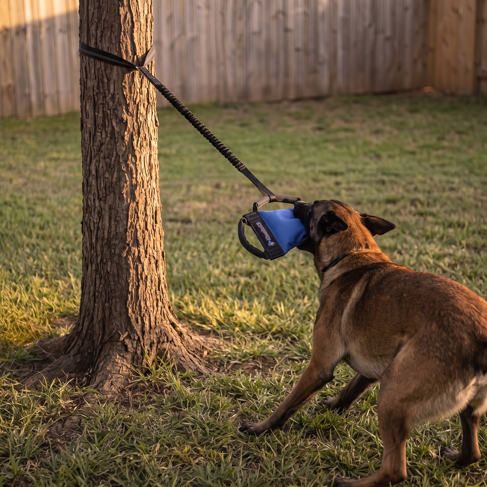 Dog working the Kinetic Drive Rig
